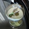 Magnolia Grace Tea Travel Set