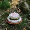 Handcrafted Porcelain Flower Aroma Diffuser-Hibiscus