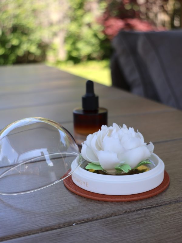 IMG_2926 Handcrafted Porcelain Flower Aroma Diffuser-Camellia