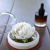 Handcrafted Porcelain Flower Aroma Diffuser-Camellia