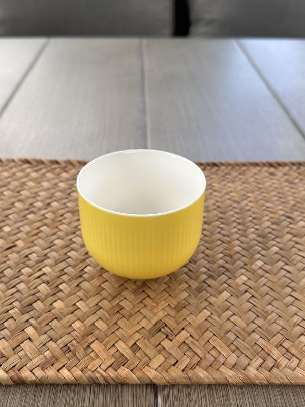 Sunny Glow Travel Tea Set